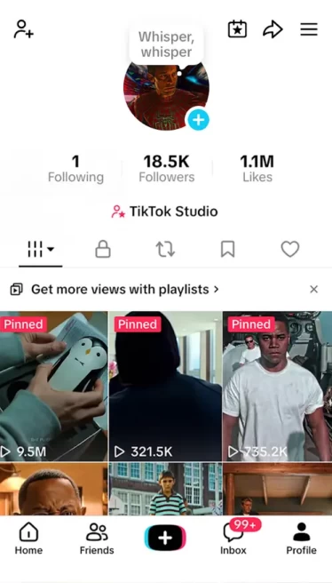 USA Monetized Account/ 18K Real Followers+1.1M Real Likes/ Creator Rewards Program Activated/ Live Stream/ Full Access