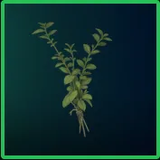 Great Mullein PC/PS5/XBOX