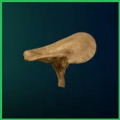 Mushroom  PC/PS5/XBOX