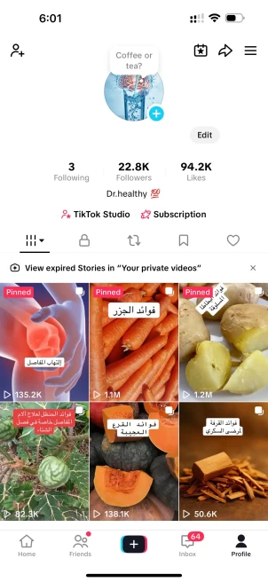 100% Monetized France Account Creativity Program Beta (Active) | 22k Real Followers & 94k Likes | Real Screenshots + Full Access + Good Standing
