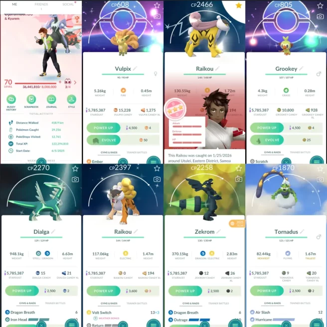 1988 Level 70 Raikou100 x2 Shiny: raikou, dialga, tornadus, zekrom