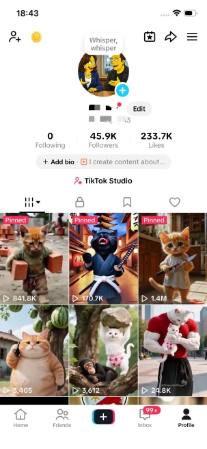 Monetized Account/ 45K Real Followers+230K Real Likes/ Creator Rewards Program Activated/ Live Stream/ Full Access