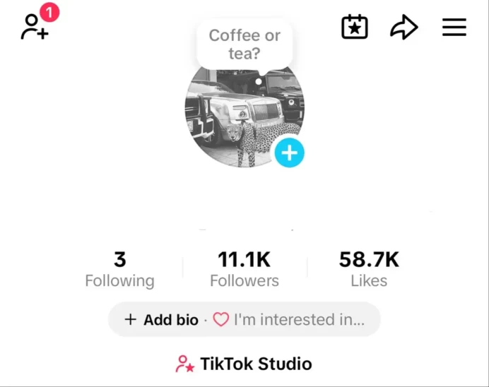 FR France| Account 11.1K Real Followers /Creator Rewards Program Active/58.7K Real Likes/ Email Include