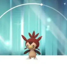 Trade || Kalos X BG Shiny CHESPIN | Stardust required: 20K or 1M | iOS and Android