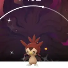 Trade || Kalos Y BG Shiny CHESPIN | Stardust required: 20K or 1M | iOS and Android