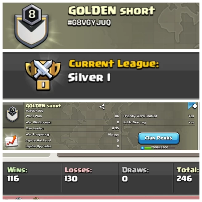 C327▰Name: GOLDEN short▰CWL Rank: Silver 1▰War Wins 116