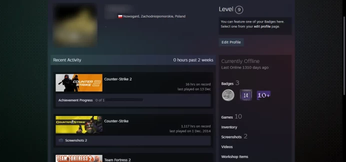 9 LEVEL STEAM_ +10 other games _<FACEIT> _<45 Days Warranty> _Last Online 3 year ago _ NO VAC_10Y, 5Y, Loyalty Badge, Global Badge_16hrs