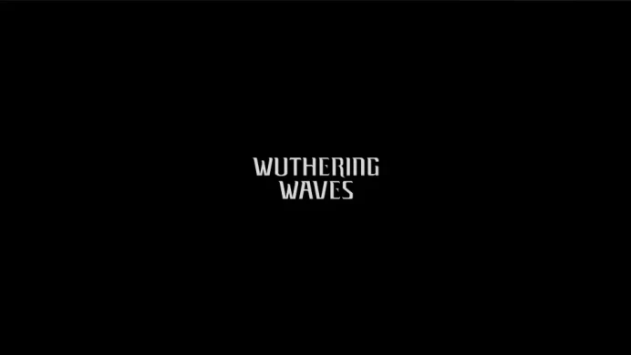 【United States Epic】 Wuthering Waves PC Fresh Account | 0 hours played | Data Changeable | Full Access | Original Email | Automatic Delivery
