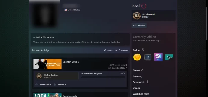 13 LEVEL STEAM_<45 Days Warranty!!!>_Vanguard Challenge Coin, 10Y _+5 other games _NO VAC_5Y, Loyalty, Global Offensive Badge_1072 hrs `