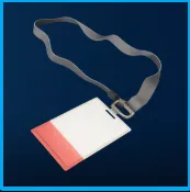 Spaceport Container Storage Key pc/ps5/xbox
