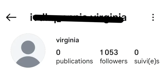 [Code 9441] 1000 Followers / Very Cheap