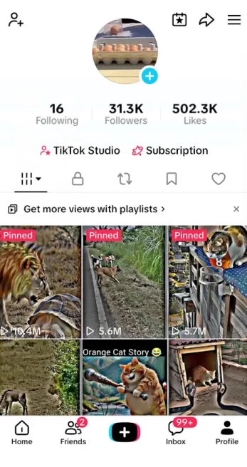 Instanly Delivery/ Monetized 31K Real Followers+502K Real Likes Account/ Creator Rewards Program Activated/ Full Access