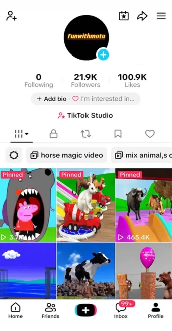 France Monetized Account/ 21K Real Followers+100K Real Likes/ Creator Rewards Program Activated/ Live Stream/ Full Access