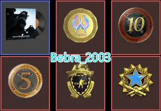 CS2 Prime 787 hours+5Medals(2017 Service Medal/Loyalty Badge/10Y/5Y/Global Offensive Badge)