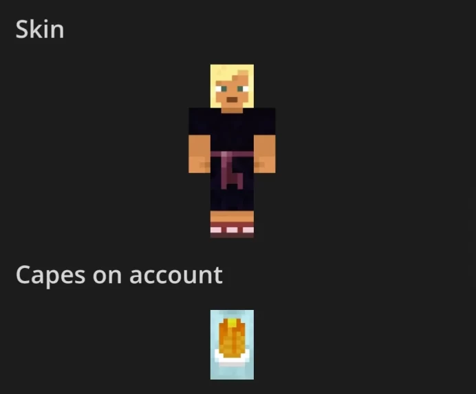 [Code 9497] Java + Bedrock Edition + Dungeon + Legends / 1 Cape / Very Cheap 
