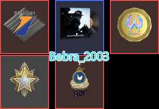 CS2 Prime 935 hours+4Medals(2023 Service Medal/10 Year Birthday Coin/Premier Season One Medal/Global Offensive Badge)