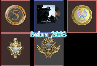 15Game-CS2 Prime  957 hours+4Medals(2021-2023 Service Medal/5 Year Veteran Coin/Global Offensive Badge)
