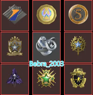 CS2 Prime+9Medals(Silver Operation Broken-Operation Shattered/19-20-22 Service Medal/Premier Season One Medal/5Y/OffBadge/Loyalty Badge)-China(V