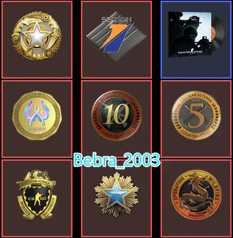 35Game-CS2 Prime 1330 hours+8Medals(Operation Wildfire Challenge Coin/16-25 Service Medal/10Y/5Y/Premier Season One Medal/Loyalty Badge/Off Badg