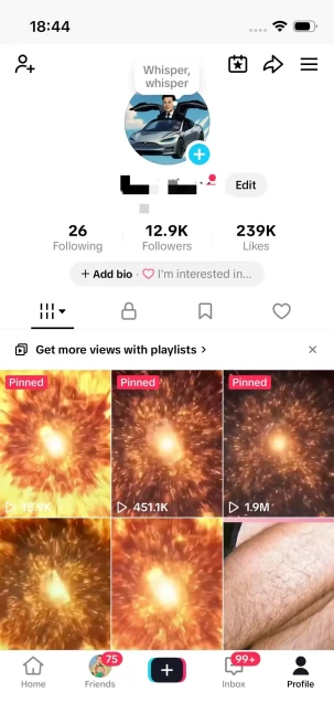 Germany Monetized Account/ 230K Real Followers+143K Real Likes/ Creator Rewards Program Activated/ Live Stream/ Full Access