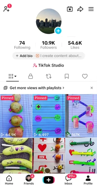France Monetized Account/ 10K Followers+54K Likes/ Creator Rewards Program Activated/ Live Stream/ Full Access