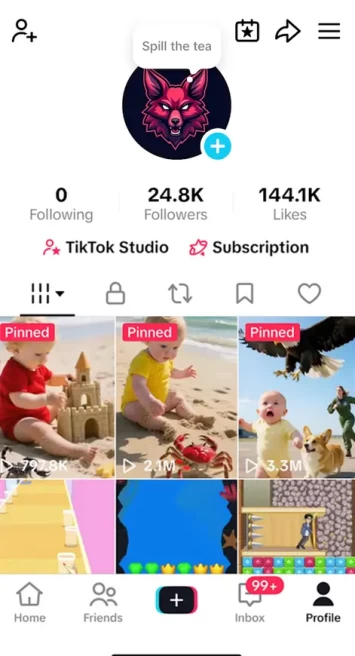 Instanly Delivery/ Monetized 24K Followers+144K Likes Account/ Creator Rewards Program Activated/ Live Stream/ Full Access