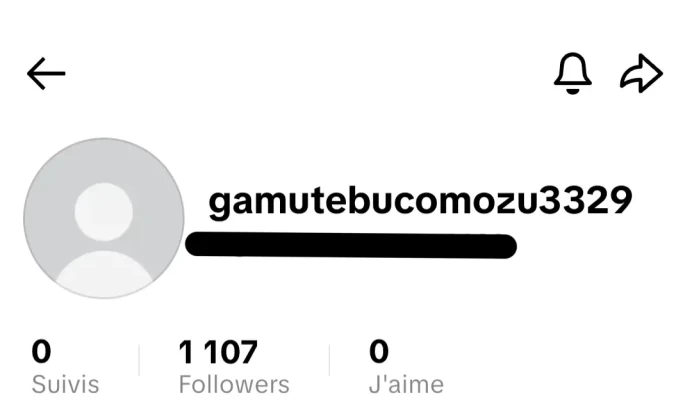 [Code 9514] 1k Followers / Very Cheap