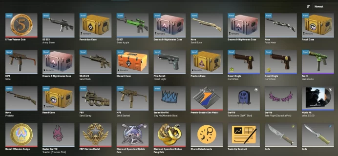 [CS 2] - [2021 & 2024 Service Medals ][Premier Season One Medal ...