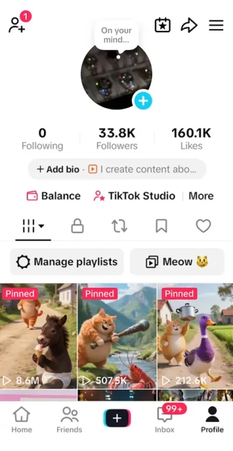Instanly Delivery/ Monetized 33K Followers+160K Likes Account/ Creator Rewards Program Activated/ Live Stream/ Full Access