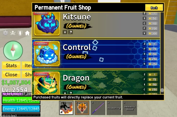 [Blox Fruits] Lv 2554 | 16 PERMS | PERM DRAGON, KITSUNE, TIGER, CONTROL |  DARK BLADE | CDK, Fox Lamp | Angel V4