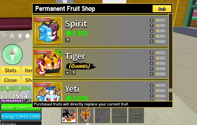 [Blox Fruits] Lv 2554 | 16 PERMS | PERM DRAGON, KITSUNE, TIGER, CONTROL |  DARK BLADE | CDK, Fox Lamp | Angel V4