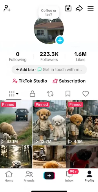 France Monetized Account/ 223K Real Followers+1.6M Real Likes/ Creator Rewards Program Activated/ Full Access