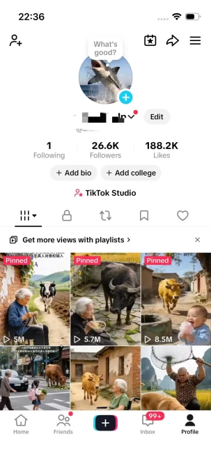 Monetized 26K Real Followers+180K Real Likes Account/ Creator Rewards Program Activated/ Full Access