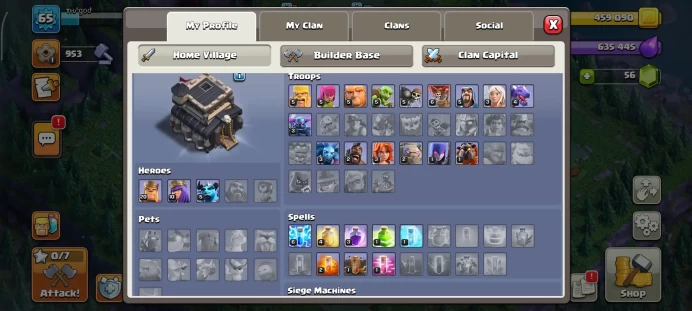 TH9 LEVEL 20 KING LEVEL 10 QUEEN BLACK WALLS 100% SECURED INSTANT RECIEVED