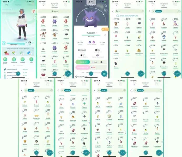 LVL 70/71 60 SHINIES