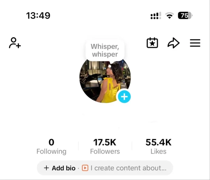 FR France| Account 17.5K Real Followers /Creator Rewards Program Active/55.4K Real Likes/ Email Include