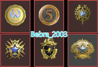 28Game-CS2 Prime 1478 hours+6Medals(2018-2019-2020 Service Medal/5Y/Loyalty Badge/Global Offensive Badge)