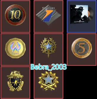 CS2 Prime 862 hours+7Medals(2017-2020 Service Medal/Premier Season One Medal/10Y/5Y/Loyalty Badge/Global Offensive Badge)