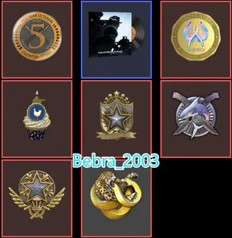 CS2 Prime+7Medals(Diamond Operation Broken/Diamond Operation Riptide/2021-2022 Service Medal/10 Year Birthday/5Y/Global Offensive Badge)