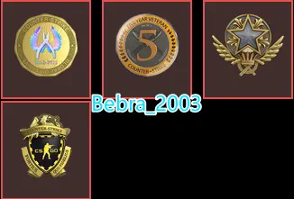 25Game-CS2 Prime 367 hours+4Medals(2021 Service Medal/5Y/Loyalty Badge/Global Offensive Badge)