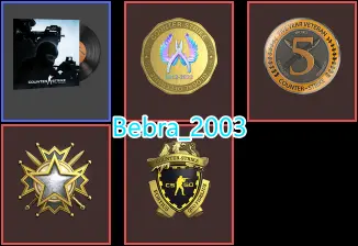 CS2 Prime 650 hours+4Medals(2019 Service Medal/5Y/Loyalty Badge/Global Offensive Badge)
