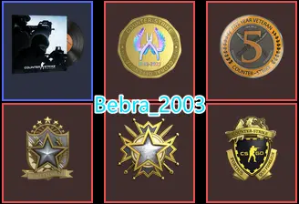 CS2 Prime 572 hours+5Medals(2019-2022 Service Medal/5Y/Loyalty Badge/Global Offensive Badge)