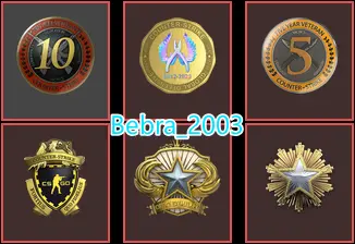 39Game-CS2 Prime+6Medals(2016-2018 Service Medal/10Y/5Y/Loyalty Badge/Global Offensive Badge)
