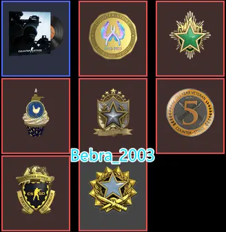 CS2 Prime 1646 hours+7Medals(2017-2022-2023 Service Medal/10 Year Birthday Coin/Loyalty Badge/5Y/Global Offensive Badge)
