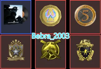 CS2 Prime 540 hours+5Medals(Gold Operation Riptide Coin/2022 Service Medal/Loyalty Badge/5Y/Global Offensive Badge)