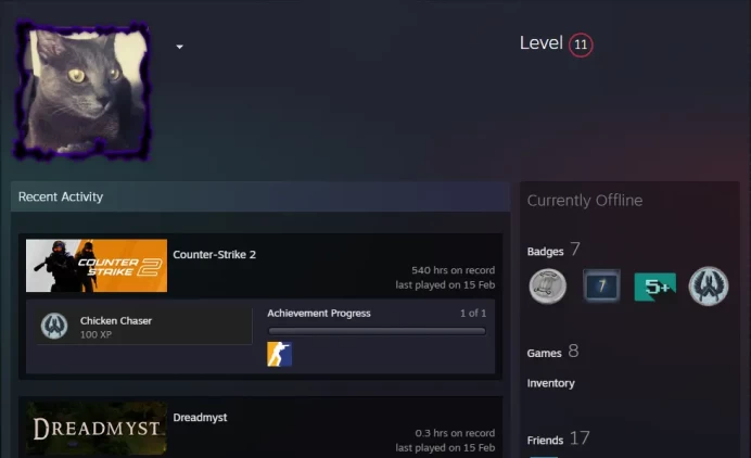 CS2 Prime 540 hours+5Medals(Gold Operation Riptide Coin/2022 Service Medal/Loyalty Badge/5Y/Global Offensive Badge)