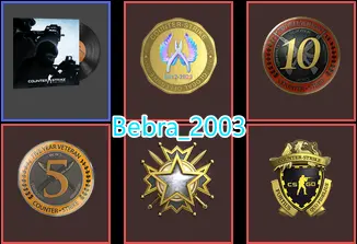 CS2 Prime 245 hours+5Medals(2019 Service Medal/10Y/5Y/Loyalty Badge/Global Offensive Badge)