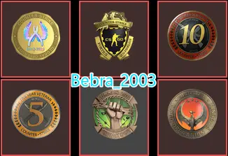 33Game-CS2 Prime 773 hours+6Medals(Operation Phoenix Challenge/Operation Breakout Challenge Coin/10Y/5Y/Loyalty Badge/Global Off Badge)