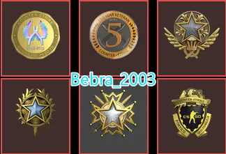 CS2 Prime 1228 hours+6Medals(2019-2020-2021 Service Medal/Loyalty Badge/5Y/Global Offensive Badge)