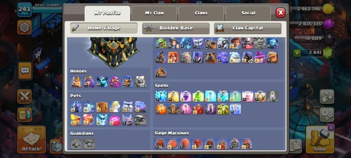 10 MAX PETS - 2 MAX HERO - FREE NAME -HIGH DEFENSES / WALLS - 1940 WAR STARS - 13 HERO SKIN - LOTS OF MAGIC ITEMS - GEMS - EQUIPMENT EPIC